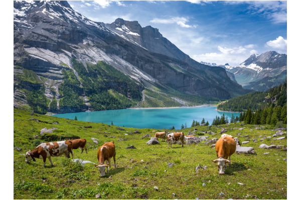 CALENDARI Bildkalender 2027 36205991 Berner Oberland ML 31.5x23cm – Bild 4