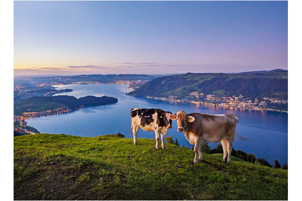 CALENDARI Bildkalender 2027 36206011 Zentralschweiz ML 31.5x23cm – Bild 3
