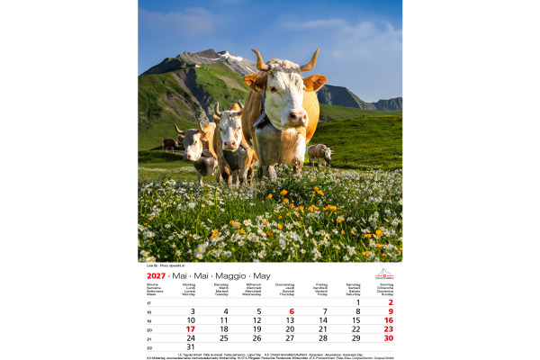 CALENDARI Bildkalender 2027 36206127 Swiss Souvenir ML 23x31.5cm – Bild 4