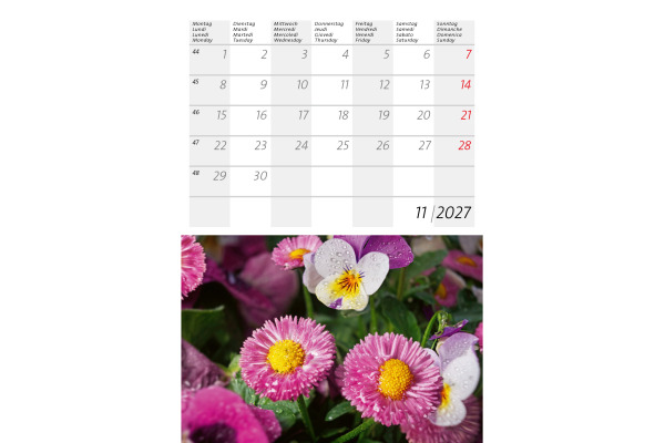 CALENDARI Bildkalender 2027 36206226 Alpenblumen ML 14.8x22cm – Bild 4