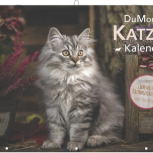 DUMONT Bildkalender 2027 261069 Katzen DE 42x29cm