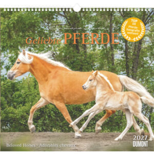 DUMONT Bildkalender 2027 261833 Pferde ML 38x35.5cm