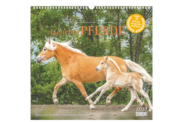 DUMONT Bildkalender 2027 261833 Pferde ML 38x35.5cm
