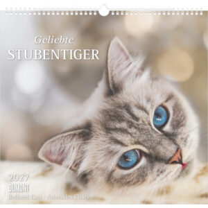 DUMONT Bildkalender 2027 261893 Stubentiger ML 38x35.5cm