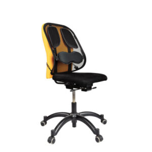 FELLOWES Rückenstütze Professional 8029901 Rückenstütze