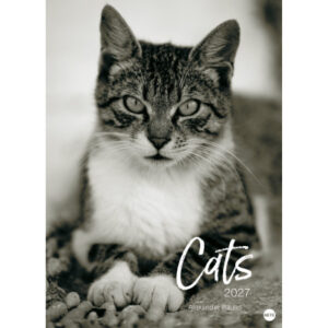 HEYE Bildkalender 2027 22848+27 Wegler Cats Edition DE 49x68cm