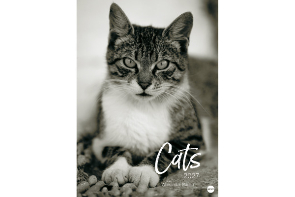 HEYE Bildkalender 2027 22848+27 Wegler Cats Edition DE 49x68cm
