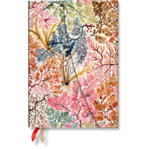 PAPERBLAN Agenda Anemone            2027 DD1781-4  1W/2S VER Midi HC DE   13x18cm