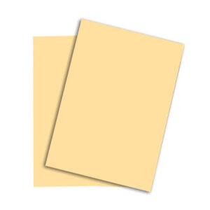 RAINBOW Papier chamois/06 A3 88042281 120g, chamois 250 Blatt