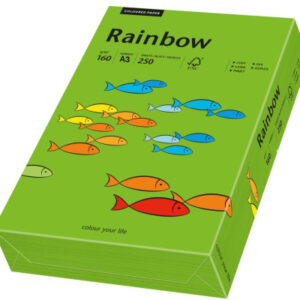 RAINBOW Papier intensivgrün/78 A3 88042682 FSC, 160g 250 Blatt