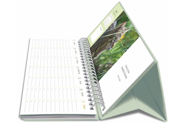 HARENBERG Pultkalender 2027 331023527 Katzen 29.9x11.1cm – Bild 2