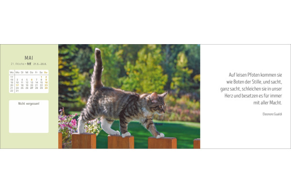 HARENBERG Pultkalender 2027 331023527 Katzen 29.9x11.1cm – Bild 3
