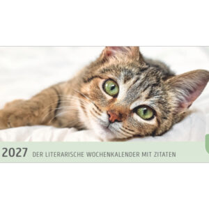 HARENBERG Pultkalender 2027 331023527 Katzen 29.9x11.1cm