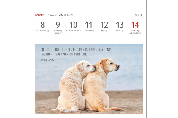 HARENBERG Postkartenkalender 2027 331024727 Hunde Premium 16.5x17.7cm – Bild 3