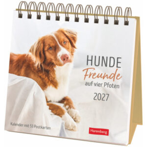 HARENBERG Postkartenkalender 2027 331024727 Hunde Premium 16.5x17.7cm