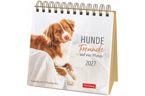 HARENBERG Postkartenkalender 2027 331024727 Hunde Premium 16.5x17.7cm