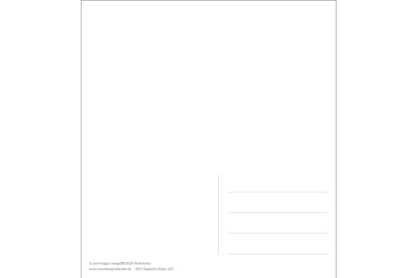 HARENBERG Postkartenkalender 2027 331025627 GEO Magische Natur 16x17.5cm – Bild 2