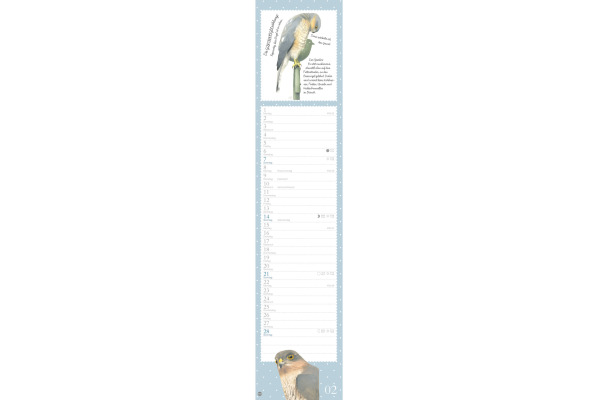 HEYE Monatsplaner M. Bastin 2027 1590+27 1M/1S DE 11x49cm – Bild 3