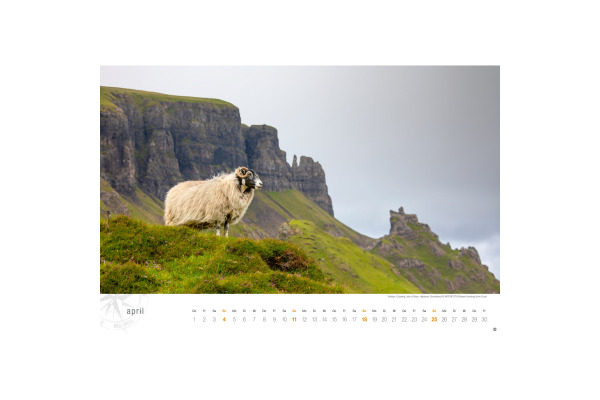 HEYE Bildkalender 2027 23159+27 Schottland DE 58x39cm – Bild 4