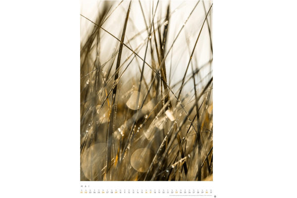 HEYE Bildkalender 2027 23224+27 pure&simple 37x53.5cm – Bild 3