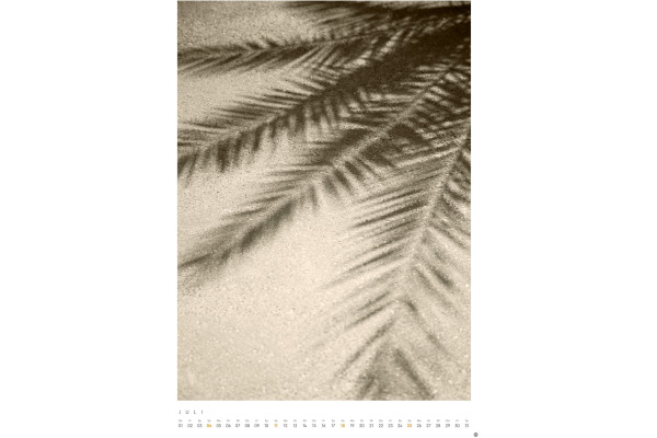HEYE Bildkalender 2027 23224+27 pure&simple 37x53.5cm – Bild 4