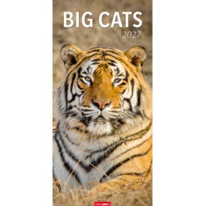 WEINGARTE Bildkalender 2027 295870027 Big Cats DE 33x68cm