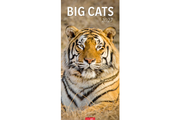WEINGARTE Bildkalender 2027 295870027 Big Cats DE 33x68cm