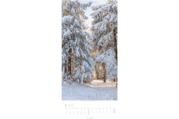 WEINGARTE Bildkalender 2027 315020027 Im Wald DE 33x68cm – Bild 2