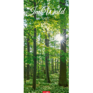WEINGARTE Bildkalender 2027 315020027 Im Wald DE 33x68cm