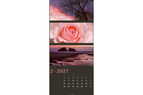 WEINGARTE Bildkalender 2027 322610027 Farben der Natur DE 33x68cm – Bild 2