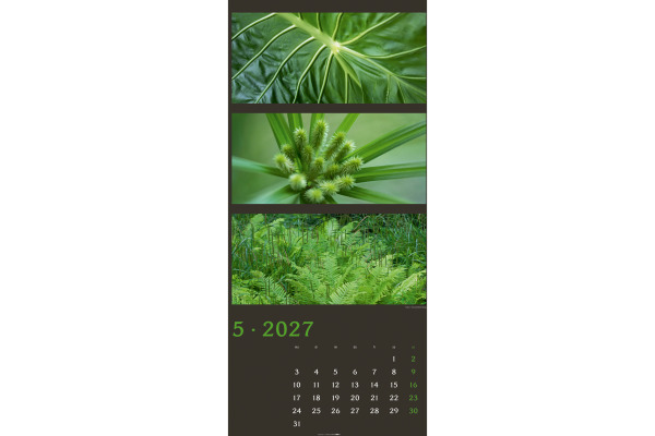 WEINGARTE Bildkalender 2027 322610027 Farben der Natur DE 33x68cm – Bild 3