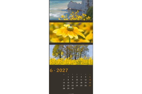 WEINGARTE Bildkalender 2027 322610027 Farben der Natur DE 33x68cm – Bild 4