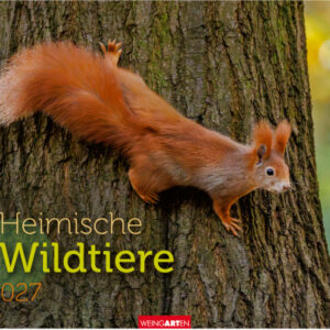 WEINGARTE Bildkalender 2027 331219827 Heimische Wildtiere 44x34cm