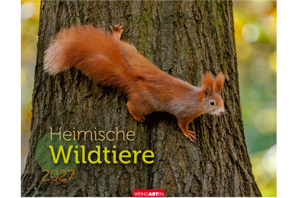 WEINGARTE Bildkalender 2027 331219827 Heimische Wildtiere 44x34cm