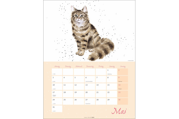 WEINGARTE Bildkalender 2027 331229227 Country Life 30x39cm – Bild 3