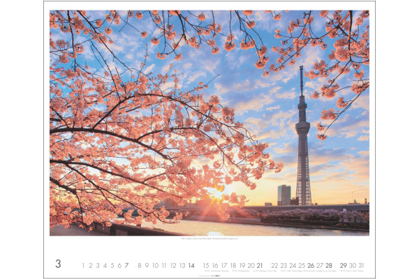 WEINGARTE Bildkalender 2027 331230527 Japan 55x46cm – Bild 2