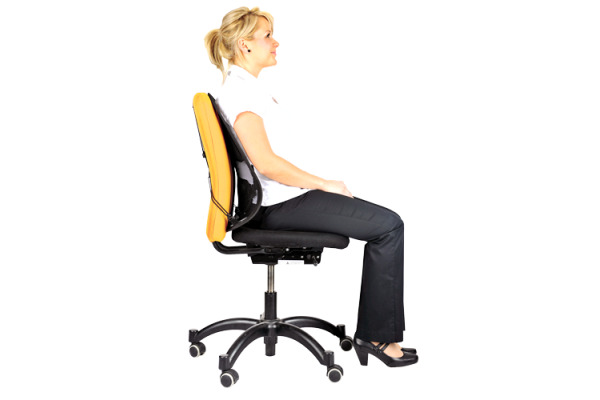 FELLOWES Rückenstütze Professional 8029901 Rückenstütze – Bild 2
