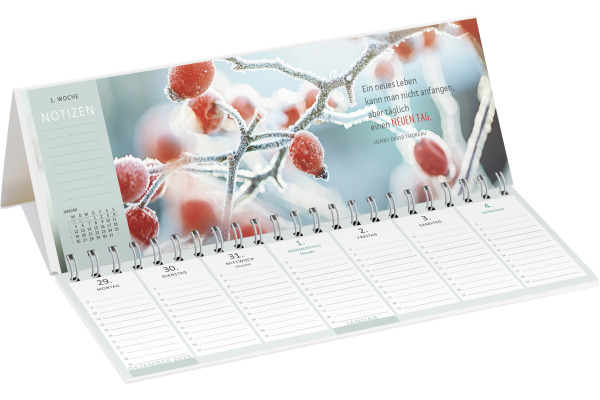 ARS EDITI Tischkalender 2027 13931 Lieblingstag DE 29.7x11.5cm – Bild 2