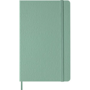 MOLESKINE Notizbuch Classic HC A5 999279080 salbeigrün, liniert 120 Blatt